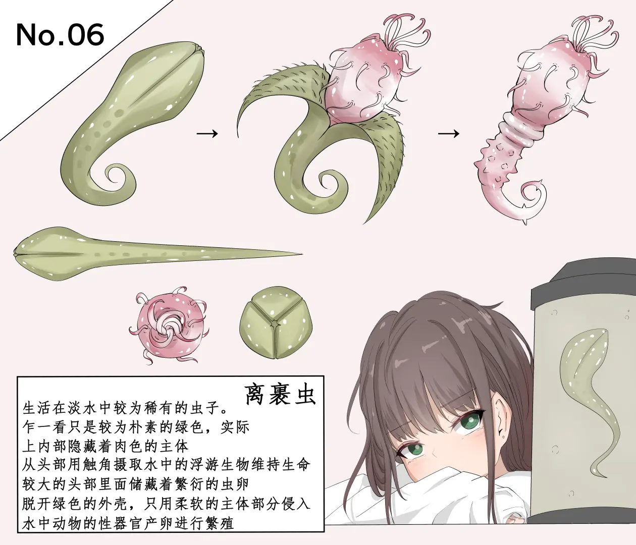 蟲研究レポート_ Character profile+No.01-25,27 [Chinese] [孤独的蛇个人汉化] - Page 35