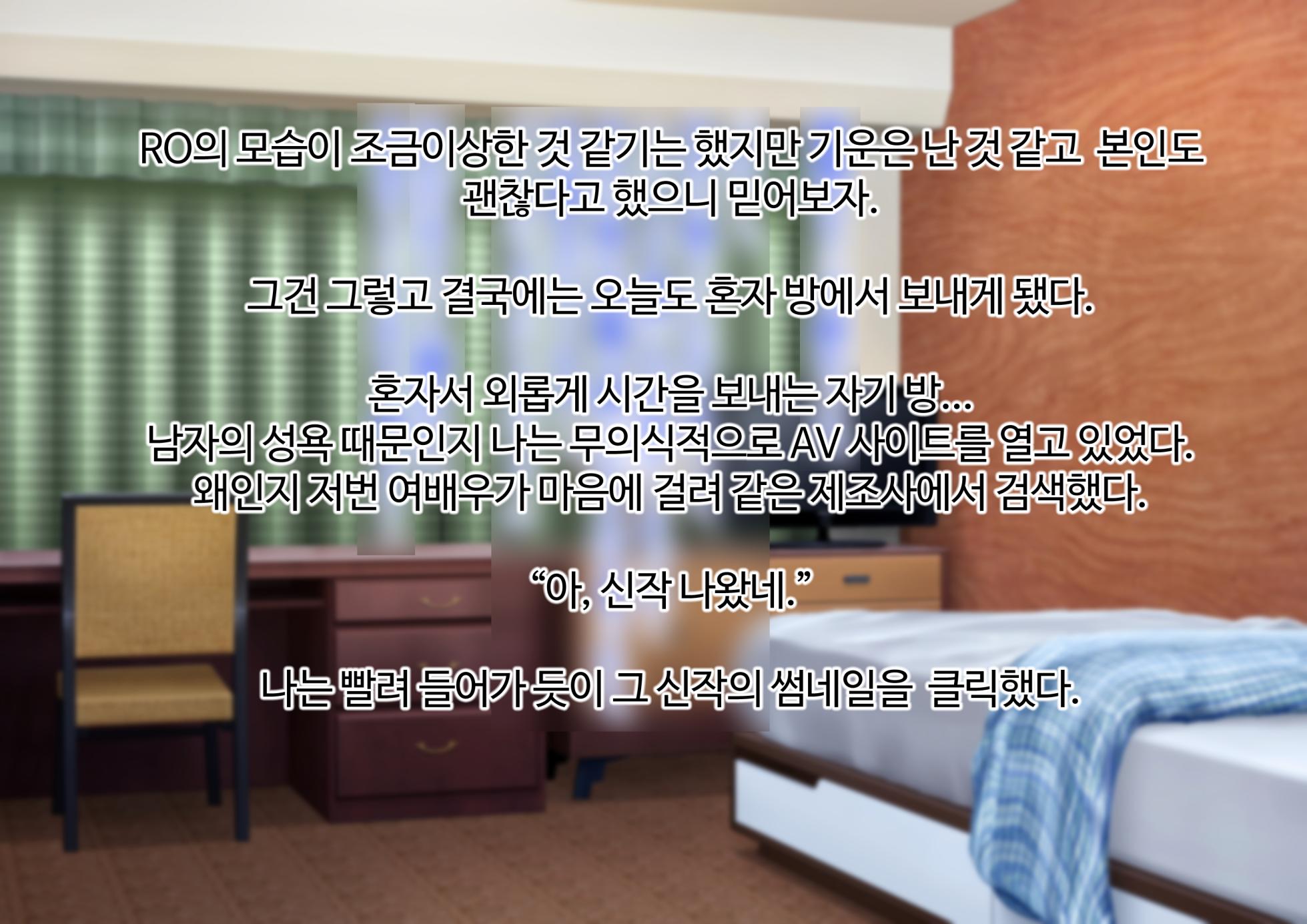 [KRS] AV에 강제로 출연하게 된 RO와 눈치채지 못하고 그 AV를 보는 지휘관 [Korean] - Page 26