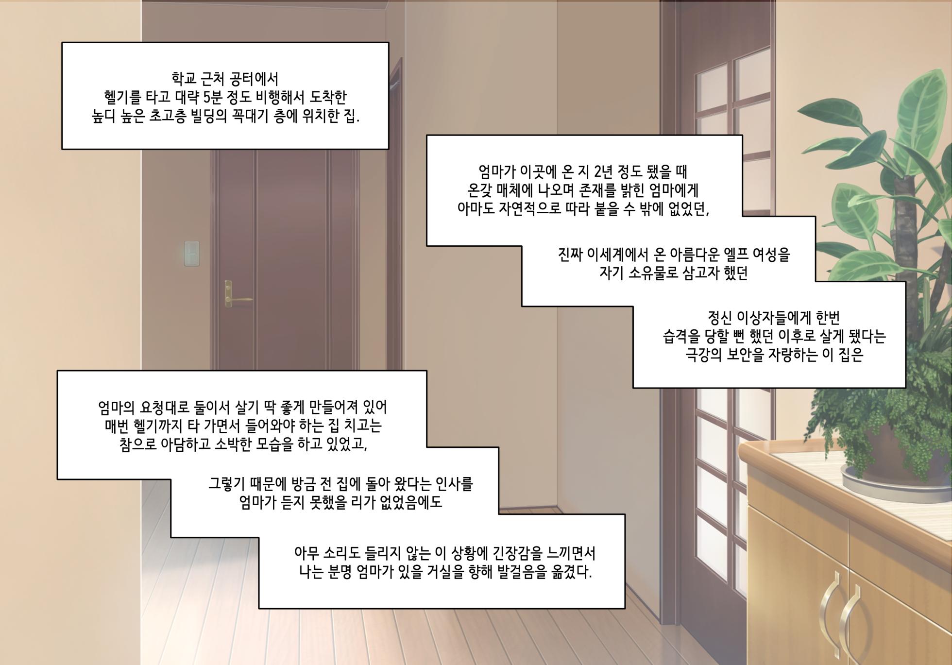 [Pelican] 엘프마망 1~7 [Korean] - Page 11