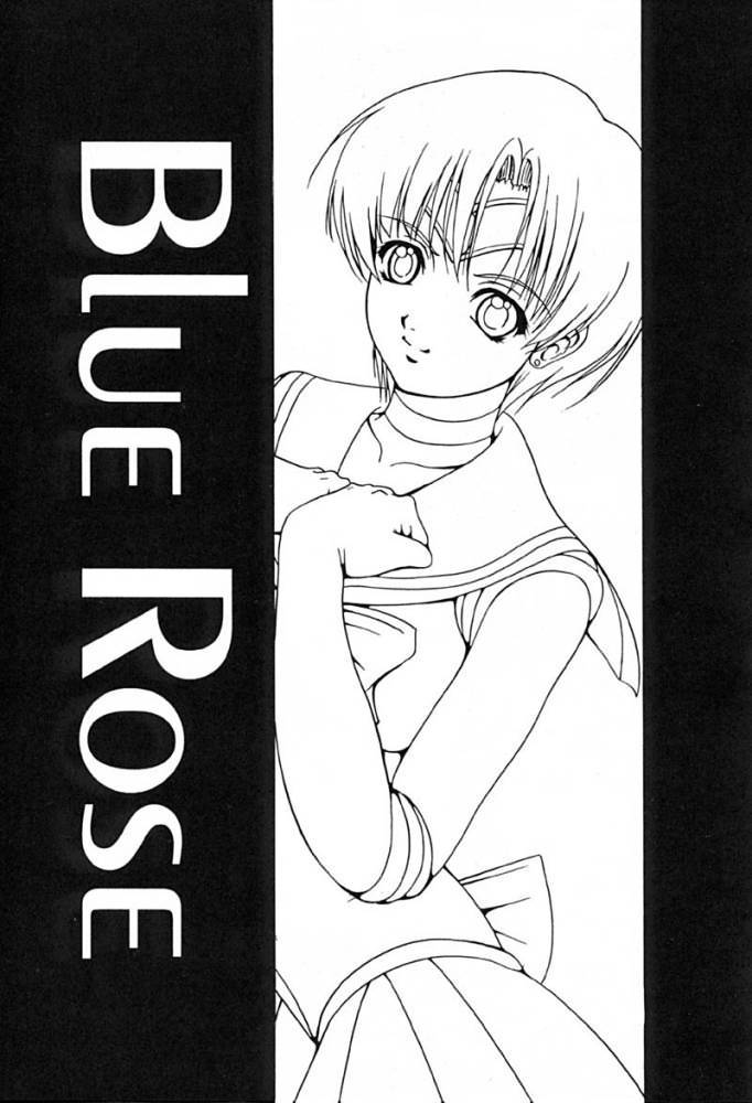 (C61) [Kikka-Shurou (Kikusui)] Blue Rose (Bishoujo Senshi Sailor Moon) - Page 2