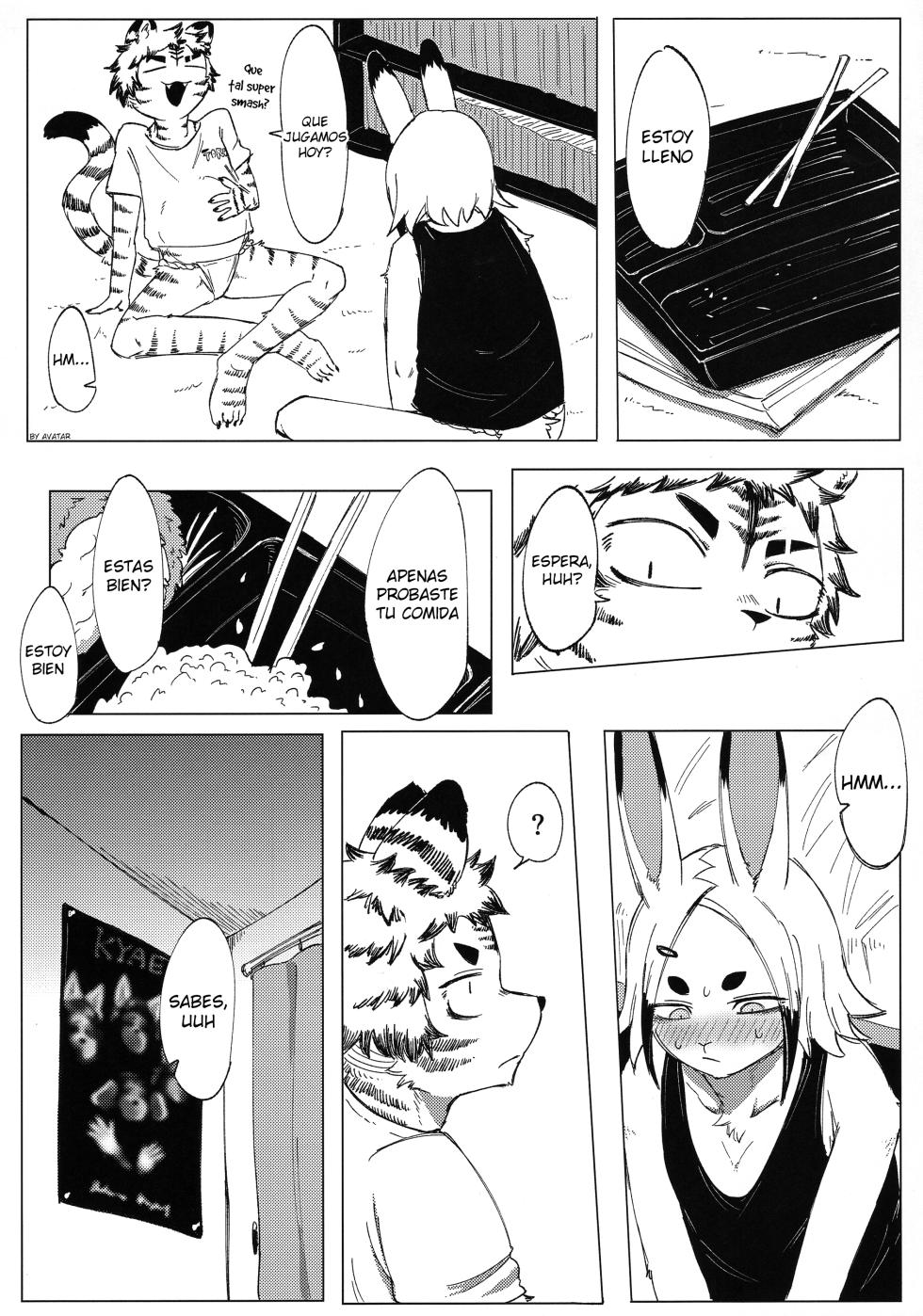 (Kemoket 14) [Rojiura 6-3 (sasamino)] Matsuri no Zenjitsu [Spanish] - Page 11