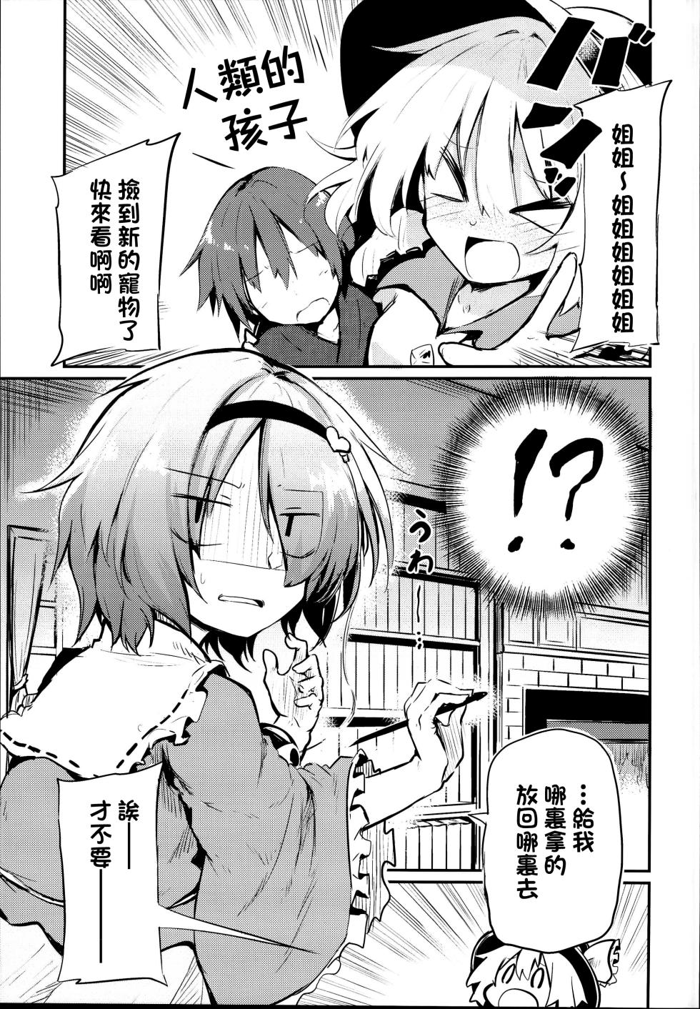 (C95) [Arutana (Chipa)]  Shikata no Nai Ko desu nee  to Iinagara Iresasete Kureru Satori Onee-chan |「真拿你這孩子沒辦法呢」言不由衷請求我插入的傲嬌古明地哦捏醬(Touhou Project) [Chinese] [明稿昨拖漢化組] - Page 5