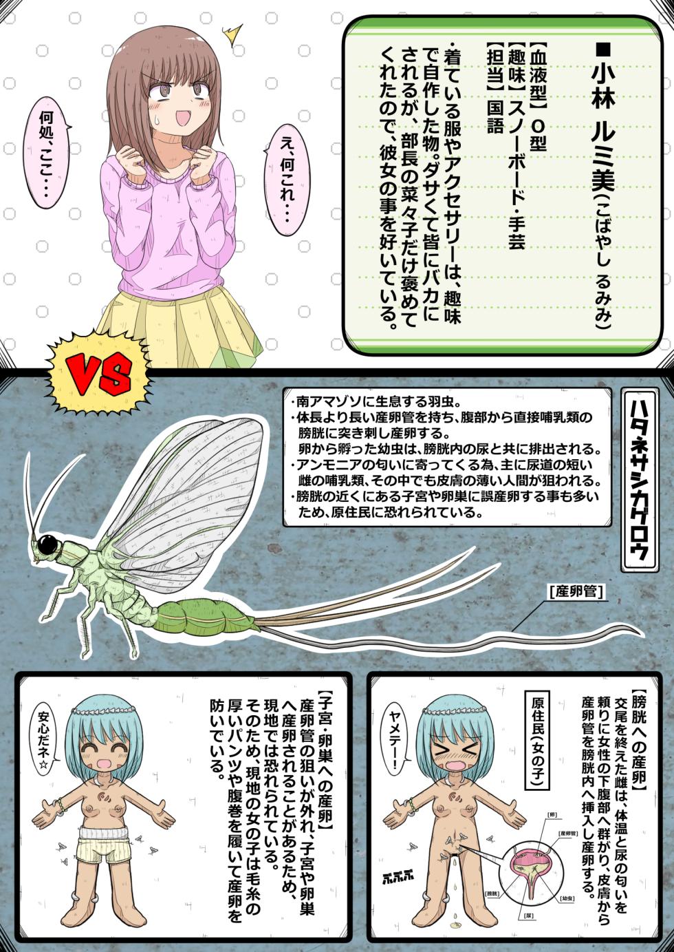 [NanCircle] ransou kairaku kenkyuubu～ komon no ransou wo syouakuseyo！ no maki～ - Page 6