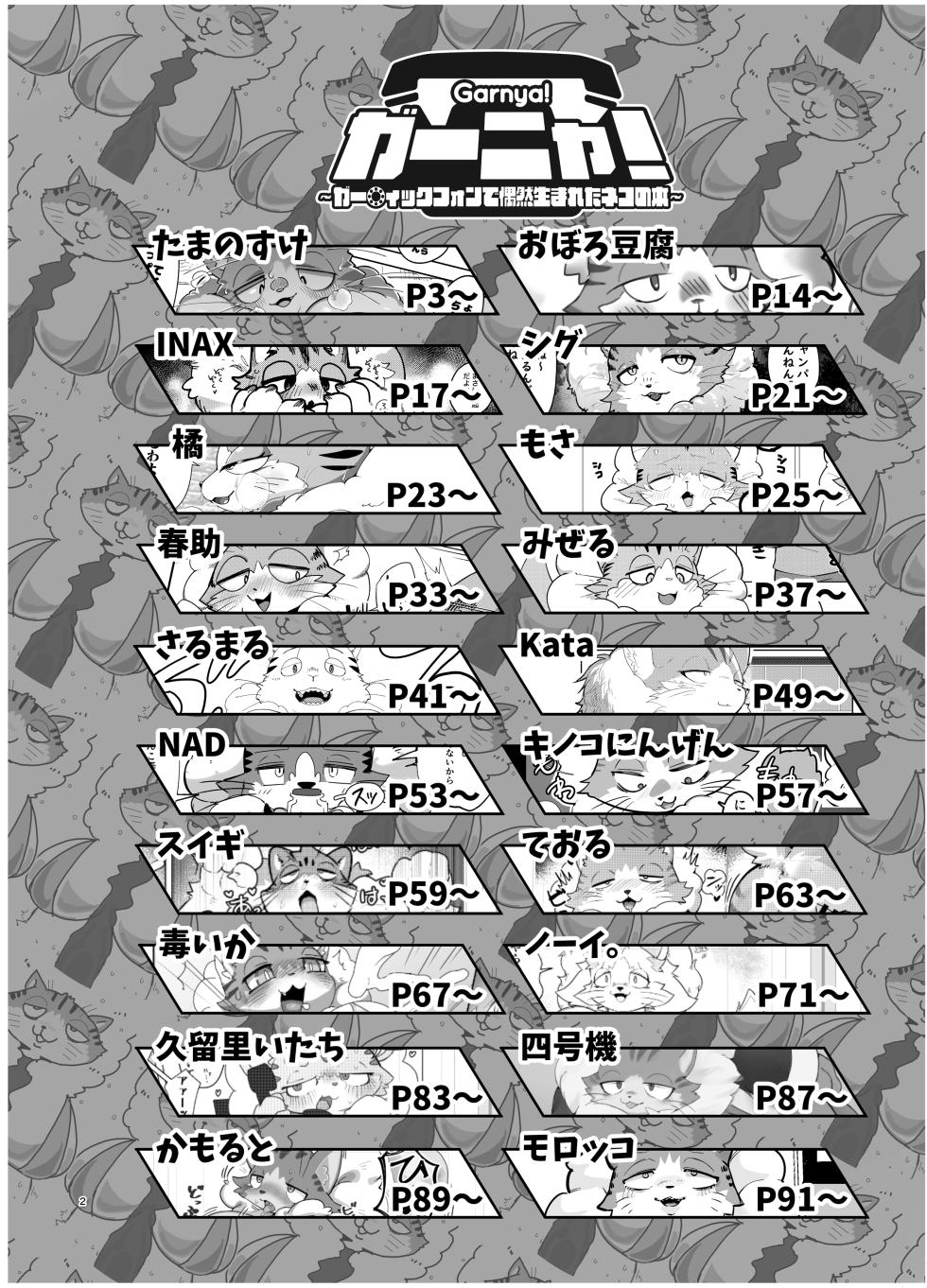 [Tamanokoshi (Various)] Gartic Phone de Guuzen Umareta Neko no Hon Ryaku shite Ganya Hon [Digital] - Page 3