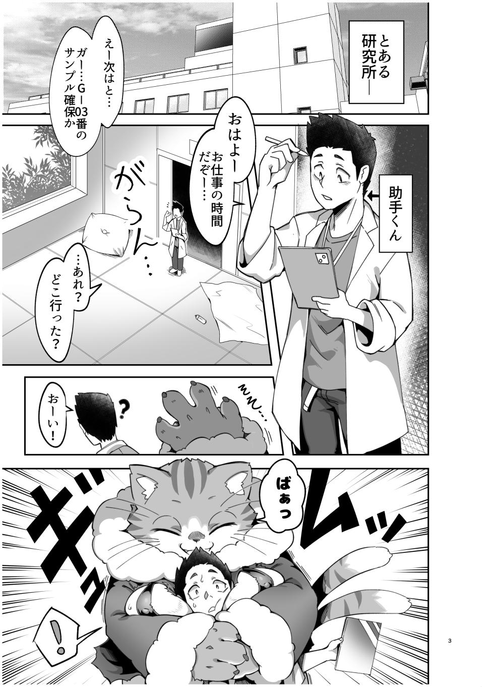 [Tamanokoshi (Various)] Gartic Phone de Guuzen Umareta Neko no Hon Ryaku shite Ganya Hon [Digital] - Page 4