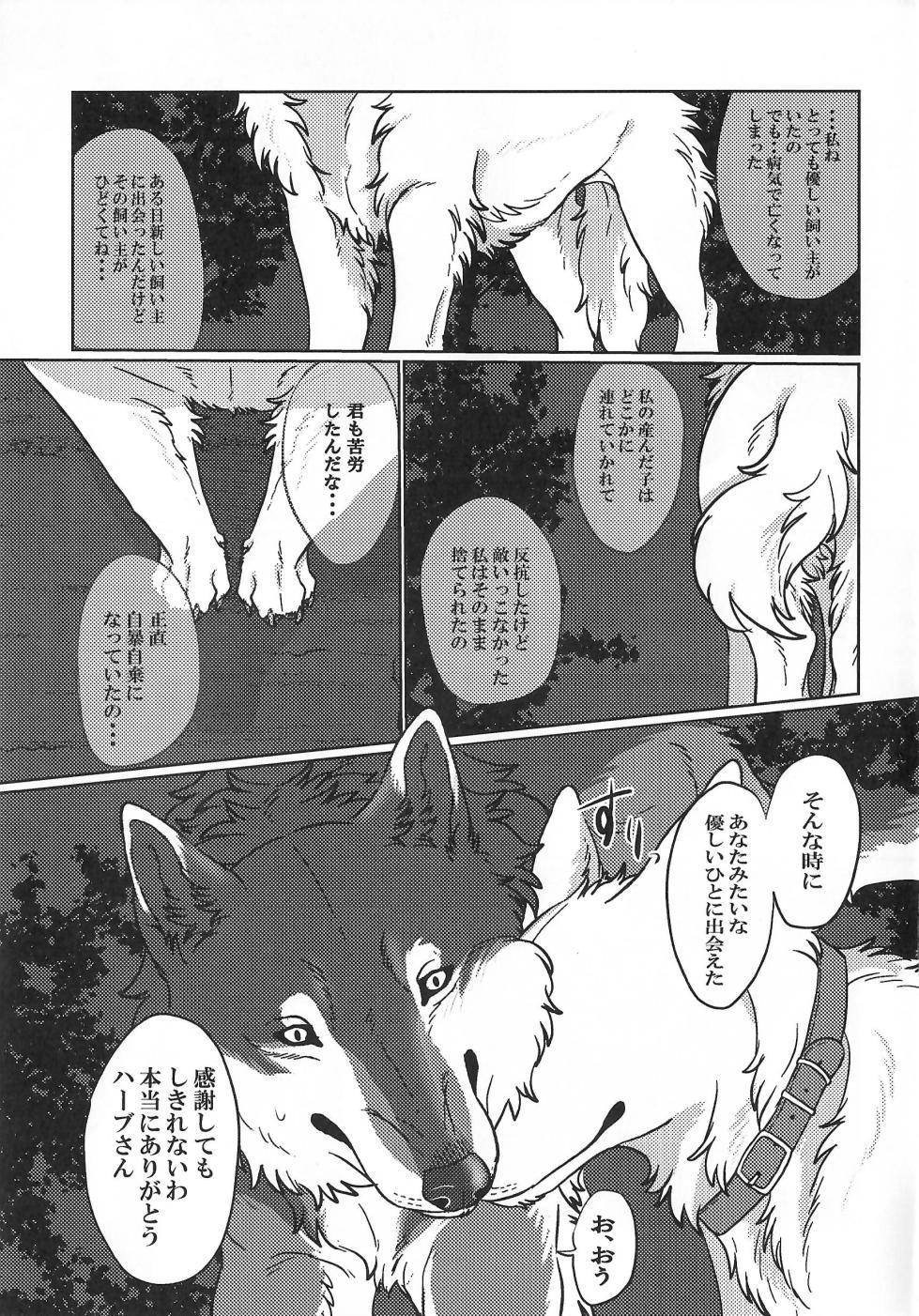 (Kansai Kemoket 10) [Neko no Shuukaijo (Nekomata)] ETERNAL FIRST - Page 14