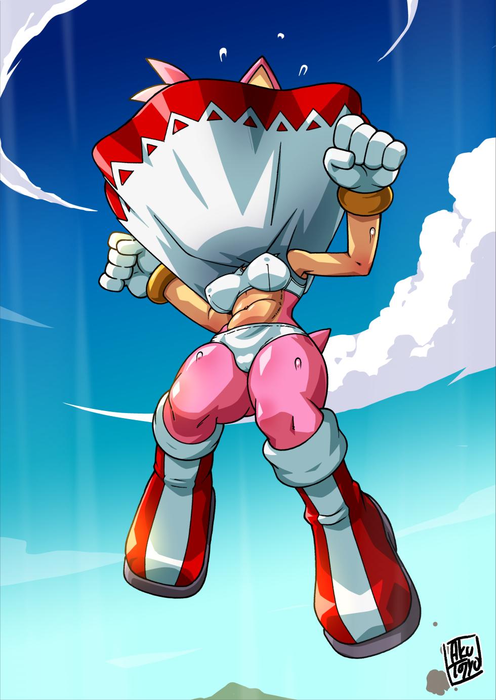 [Aku-Tojyo] Amy Rose and Cream the Rabbit wind accident - Page 2