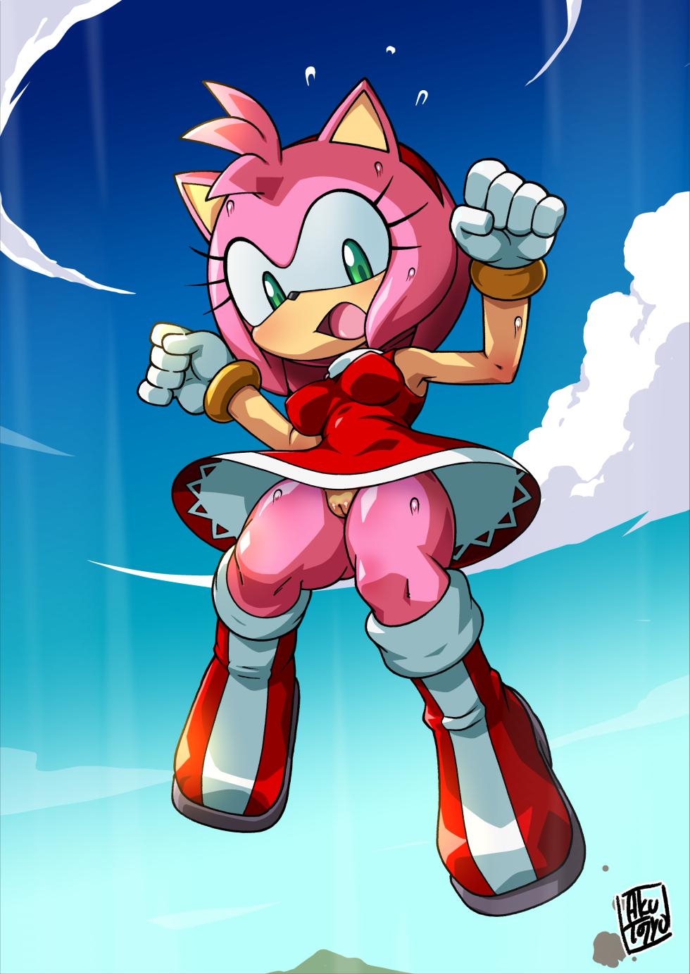 [Aku-Tojyo] Amy Rose and Cream the Rabbit wind accident - Page 4