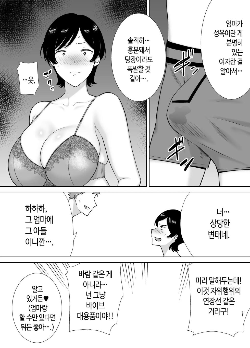 [Boin-do (Siberian Hahasky)] Kaa-san Datte Onna Nandayo! 1-3 | 엄마도 여자란 말야! 1-3 [Korean] [Decensored] - Page 20