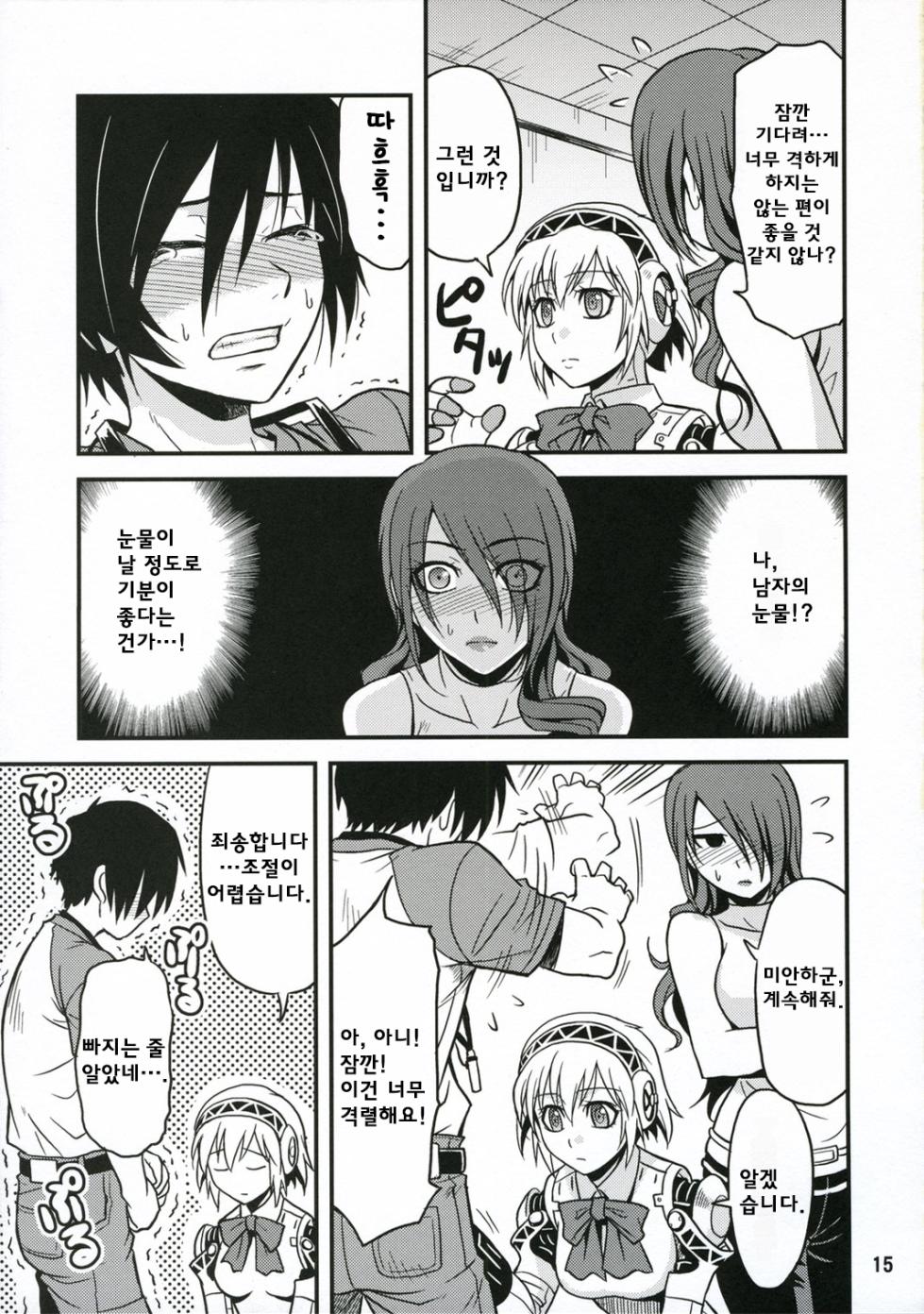 (C71) [Junpuumanpandou (Hida Tatsuo)] Noble Maiden | 노블 메이든 (Persona 3) [Korean] - Page 14