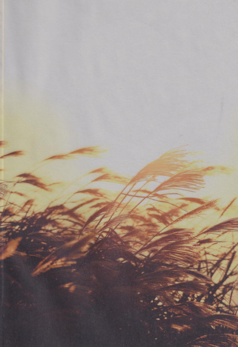 (SPARK19) [bowwowo (Motobi)] Kannazuki no Kure ni (Inuyasha) - Page 2