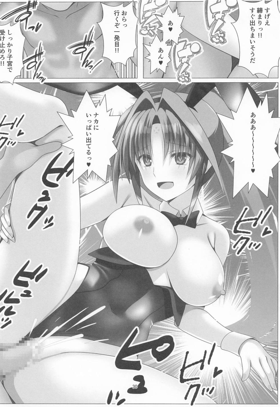 [Aquarius Gate (Engo)] Sennyuu Sousa Kiki 3-patsume!! (Mahou Shoujo Lyrical Nanoha) - Page 29
