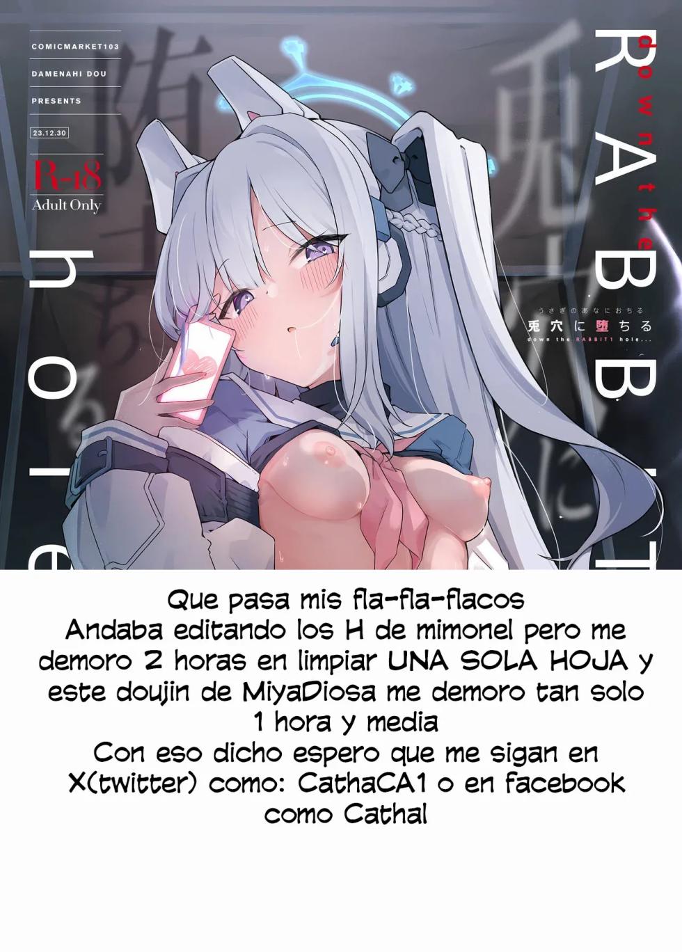 (C103) [Damenahidou (Damenahito)] Usagiana ni Ochiru - down the RABBIT1 hole...｜Por el agujero del RABBIT1... (Blue Archive) [Spanish] [Cathal y sus panas] - Page 24