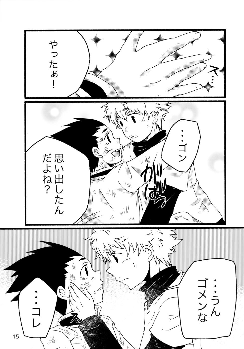 [SHIROZONE (Mizushiro Yuduki)] Sairoku Shuu KilluaGon Mania 02 (Hunter x Hunter) - Page 14