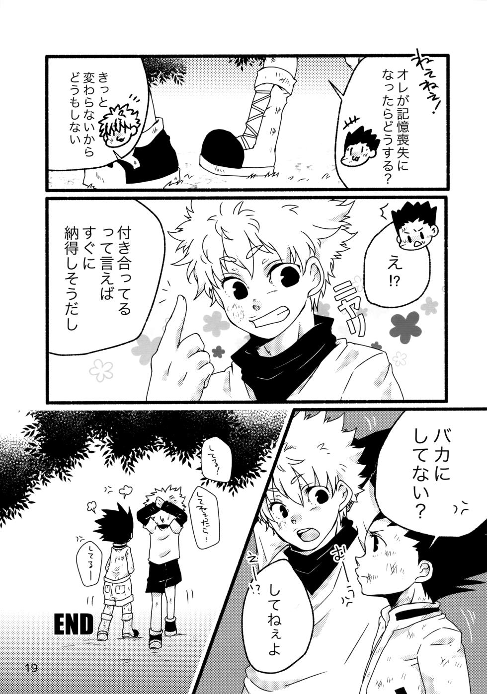 [SHIROZONE (Mizushiro Yuduki)] Sairoku Shuu KilluaGon Mania 02 (Hunter x Hunter) - Page 18