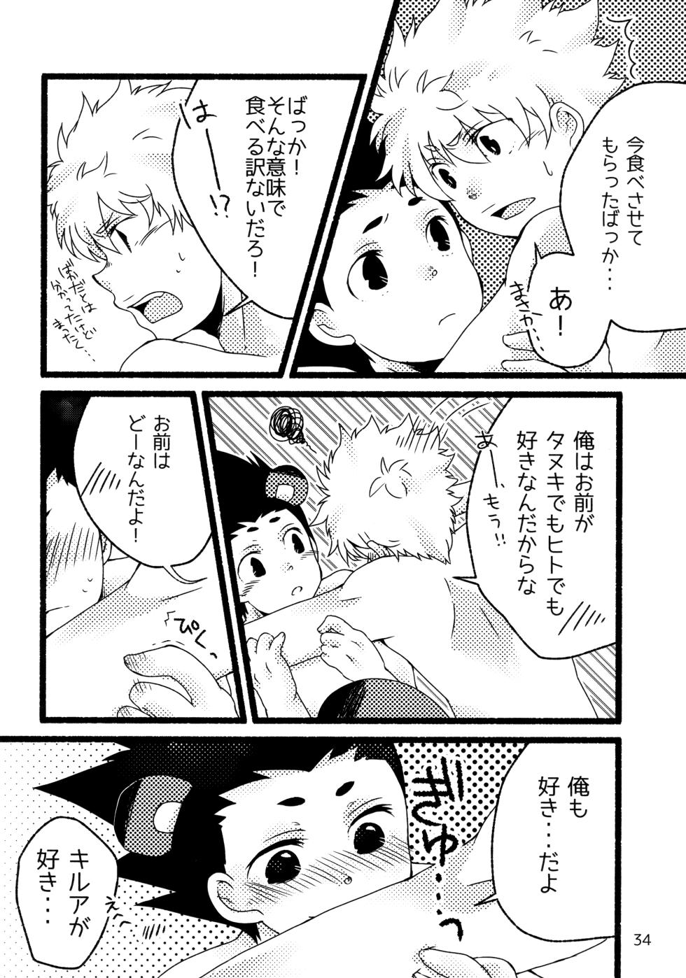 [SHIROZONE (Mizushiro Yuduki)] Sairoku Shuu KilluaGon Mania 02 (Hunter x Hunter) - Page 33