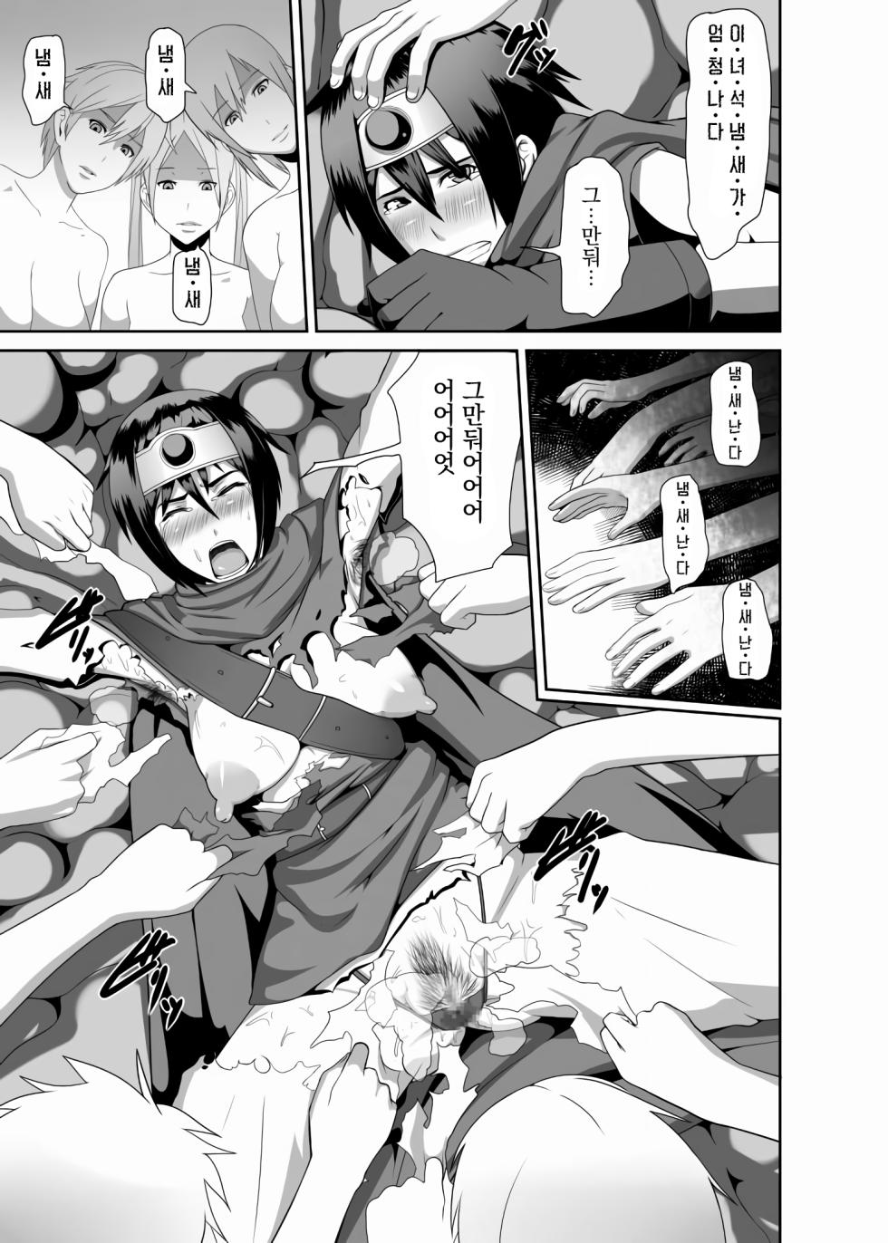 [Pollinosis (Shinkuu Tatsuya)] REDLEVEL3 (Dragon Quest III) [Korean] [Digital] - Page 15
