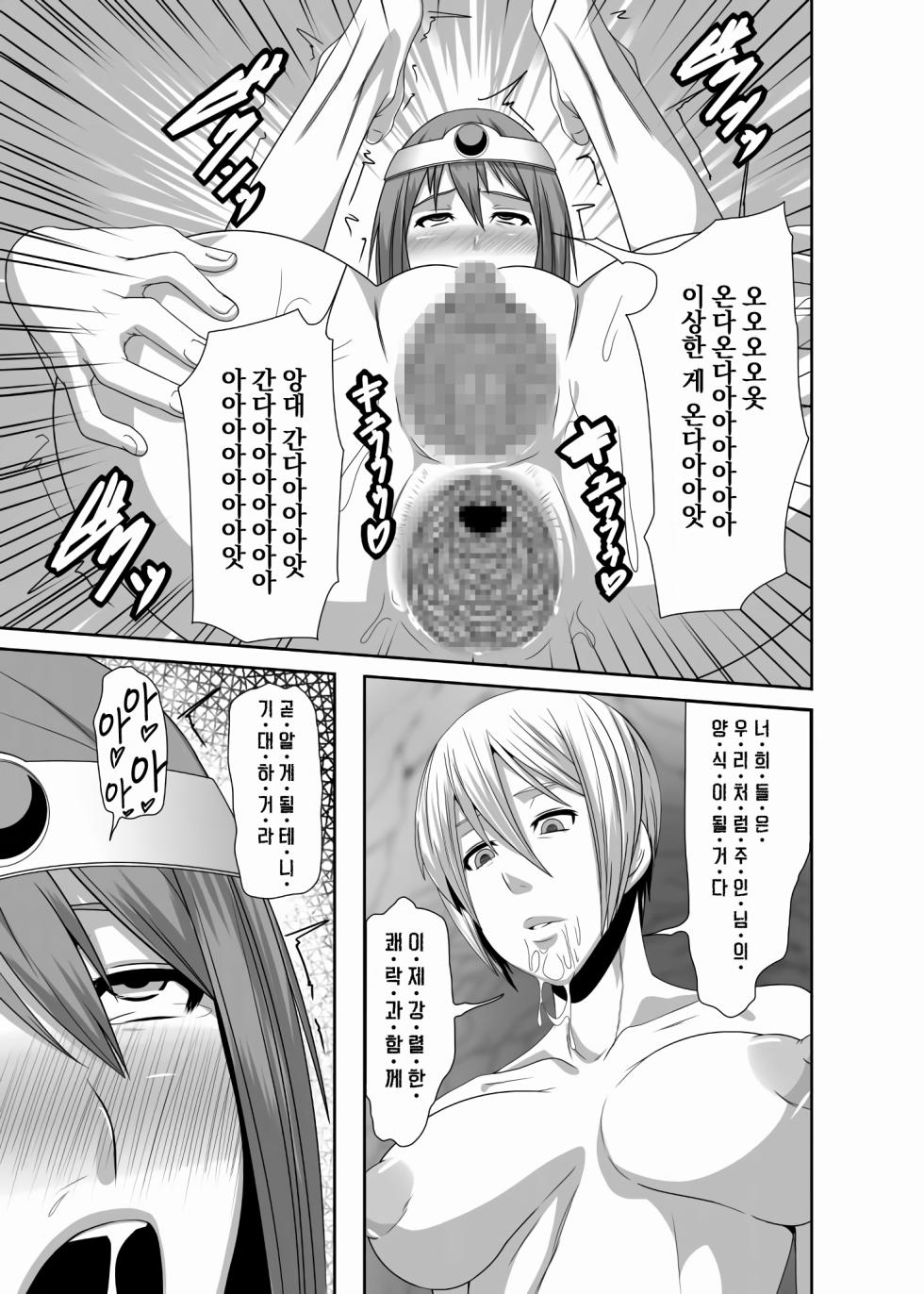 [Pollinosis (Shinkuu Tatsuya)] REDLEVEL3 (Dragon Quest III) [Korean] [Digital] - Page 25
