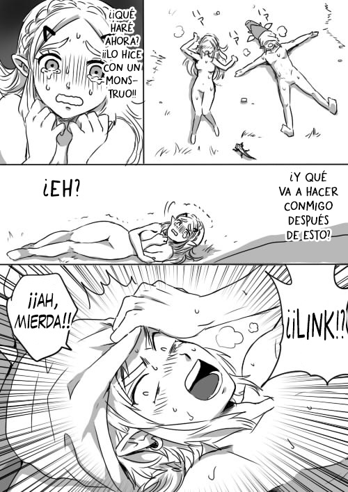 [Wasabi] Link to Zelda no Shoshinsha ni Yasashii Sex Nyuumon | Aquí una Pequeña Lección sobre la Relación de Link y Zelda (The Legend of Zelda: Breath of the Wild) [Español] [Traducciones necesarias] - Page 14