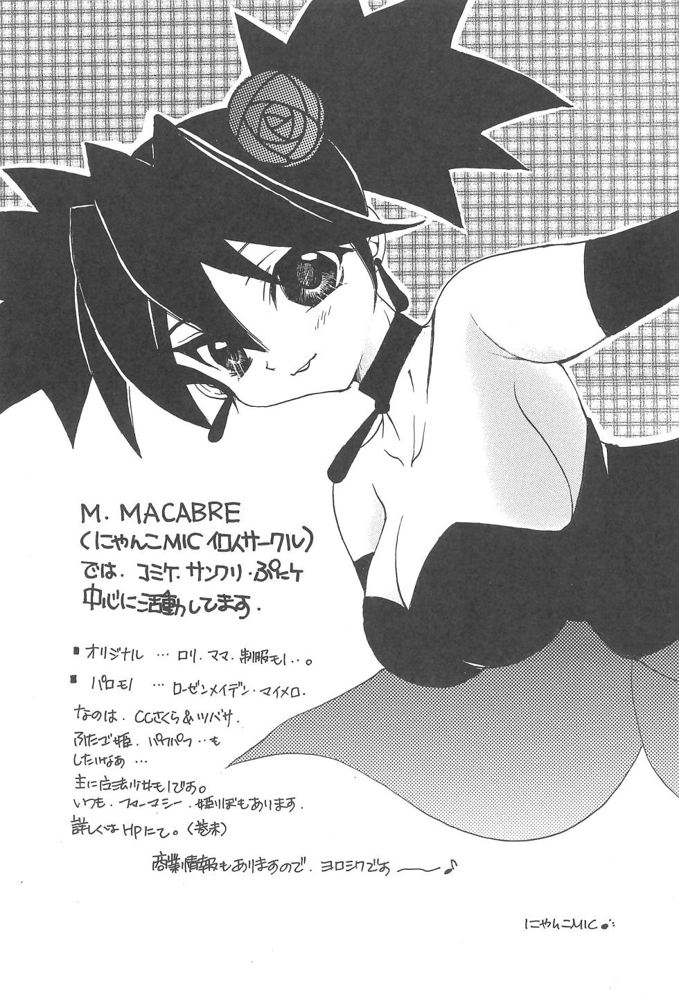 (SC34) [M.MACABRE (Nyanko MIC)] Lyrical ★ Lyrical 2 (Mahou Shoujo Lyrical Nanoha) - Page 23