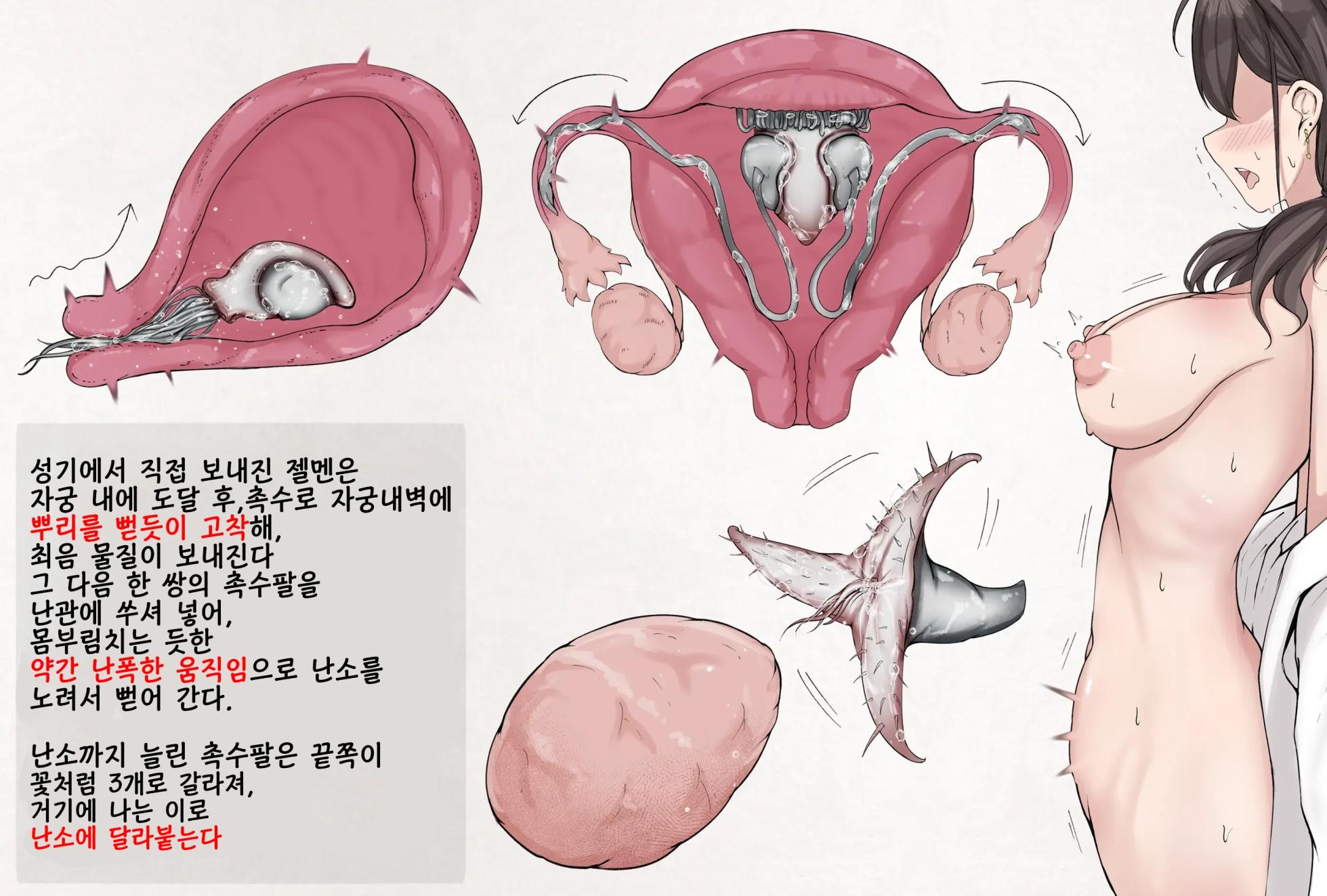 [Gura] Insect Research Report No.24 | 벌레 연구 보고서 No.24 [Korean] - Page 3