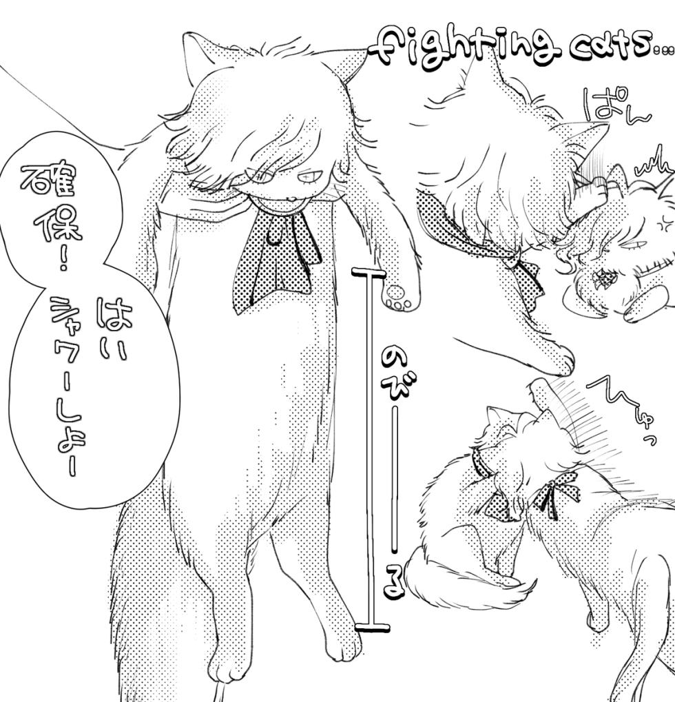 [  Kin'niku neko][ Iwao guda ♀②s[ fate grand order ) - Page 13