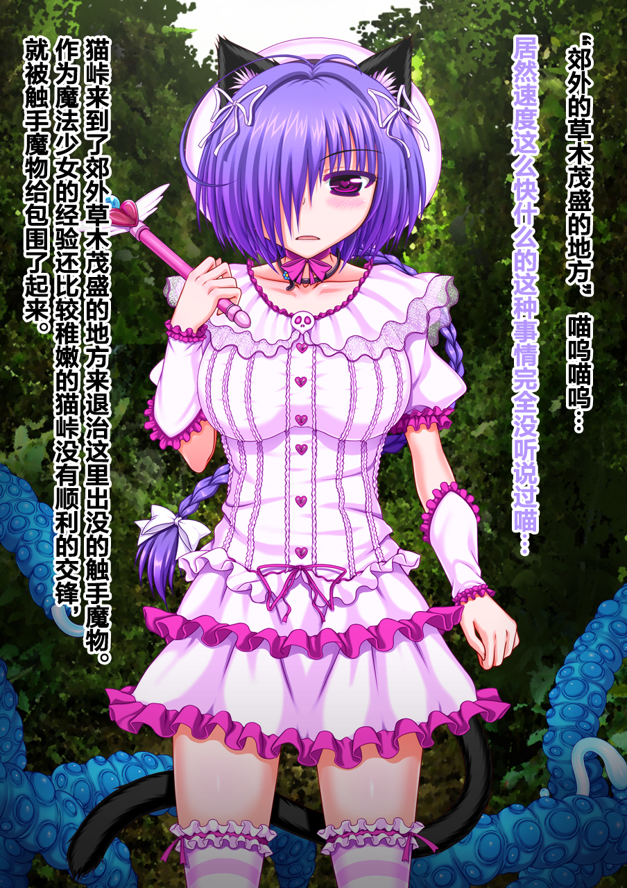 [VISCARIA (アテラ)] ACross breed~クロスブリード~_MEYAO!!DL-02（是小狐狸哦） - Page 6