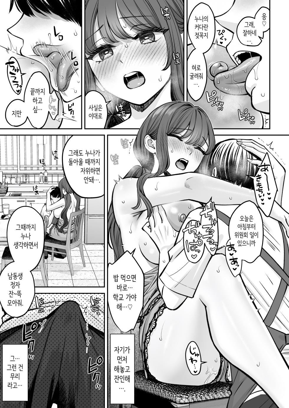 [Oshima Aki] Totsuzen Ane ga Dekita Hanashi 3 | 갑자기 누나가 생긴 이야기 3 [Korean] - Page 6