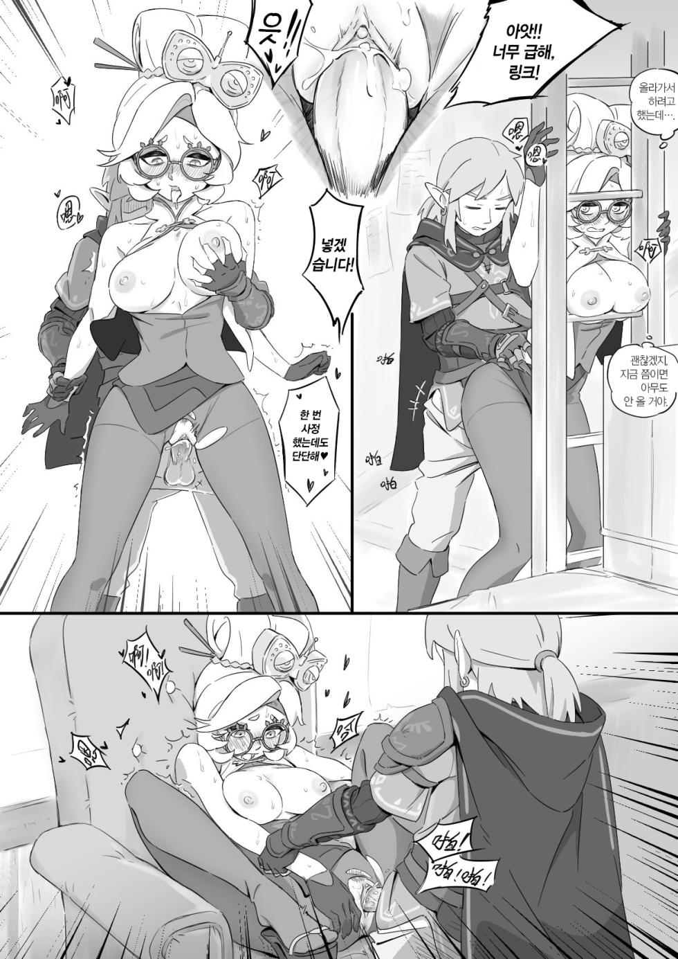 [Xiǎo huī] 普尔亚的烦恼 | 프루아의 고민 (The legend of zelda) [Korean] - Page 14