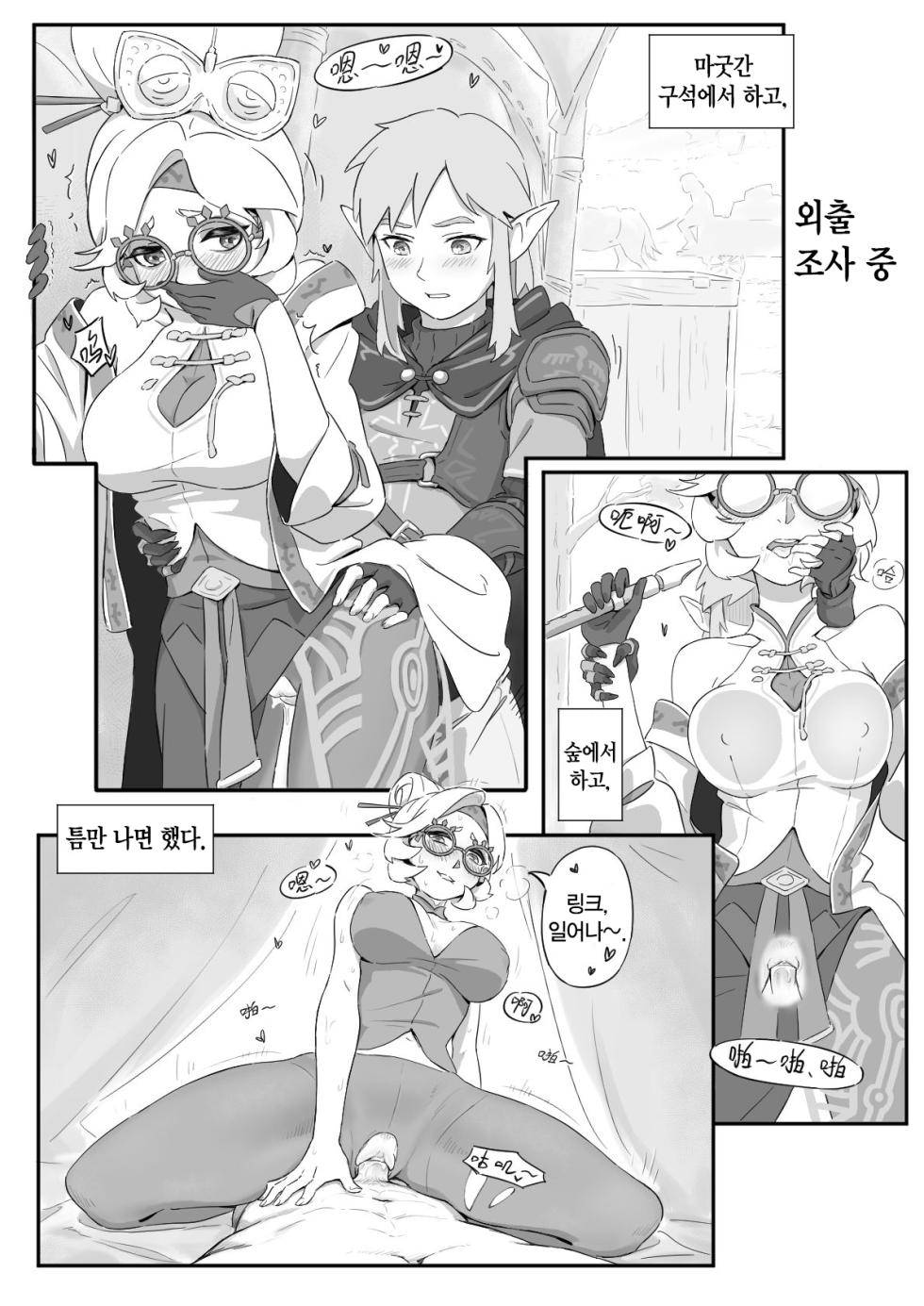 [Xiǎo huī] 普尔亚的烦恼 | 프루아의 고민 (The legend of zelda) [Korean] - Page 21
