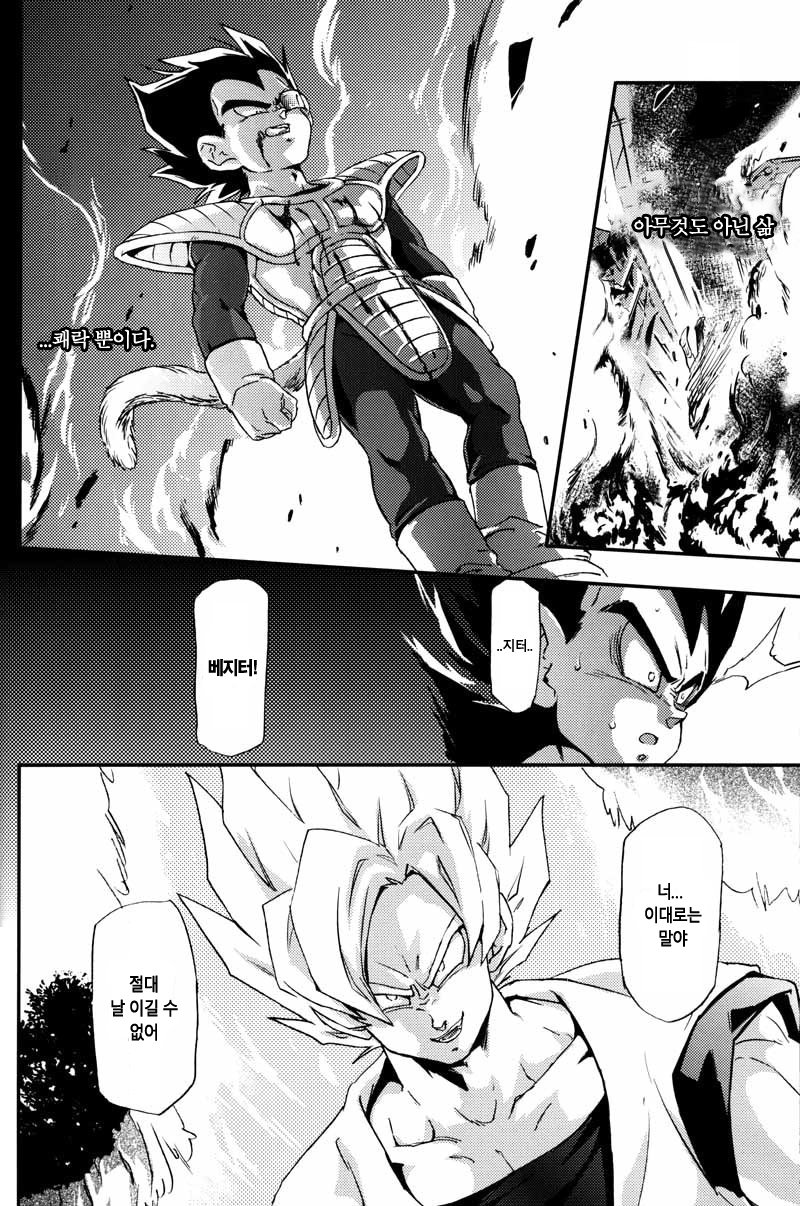 (C75) [Dokugunryu (Norazi, Komakawa Rimi)] Kemono-tachi wa Furusato o Mezasu | 짐승들은 고향을 향한다 (Dragon Ball Z) [Korean] [Digital] - Page 13