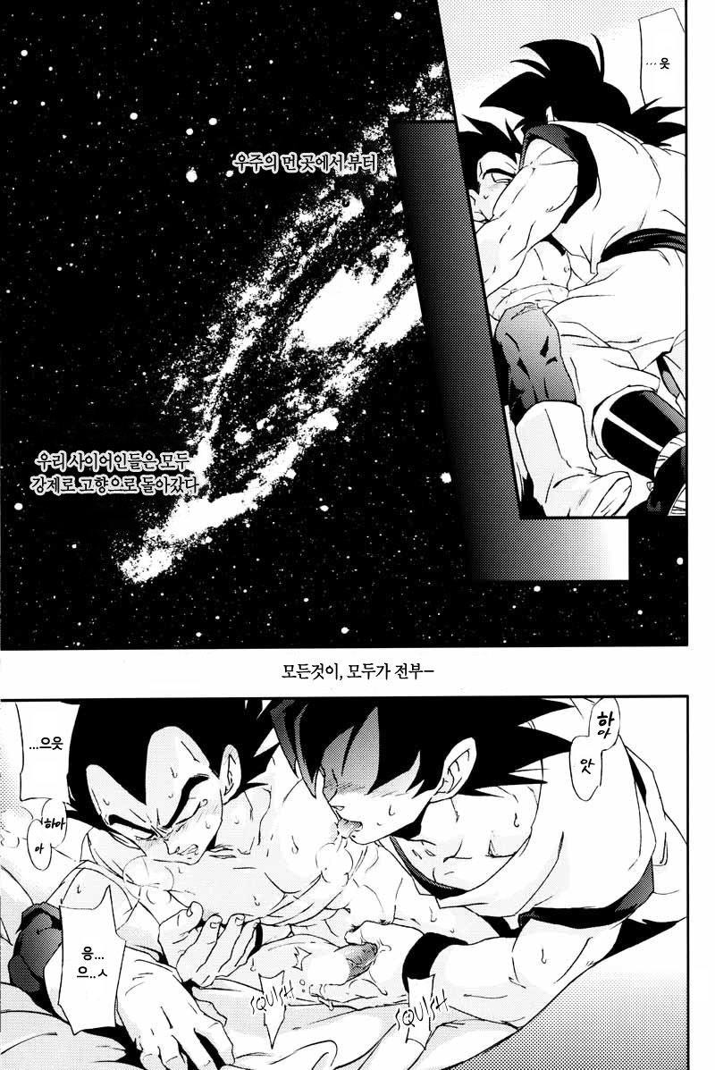 (C75) [Dokugunryu (Norazi, Komakawa Rimi)] Kemono-tachi wa Furusato o Mezasu | 짐승들은 고향을 향한다 (Dragon Ball Z) [Korean] [Digital] - Page 20