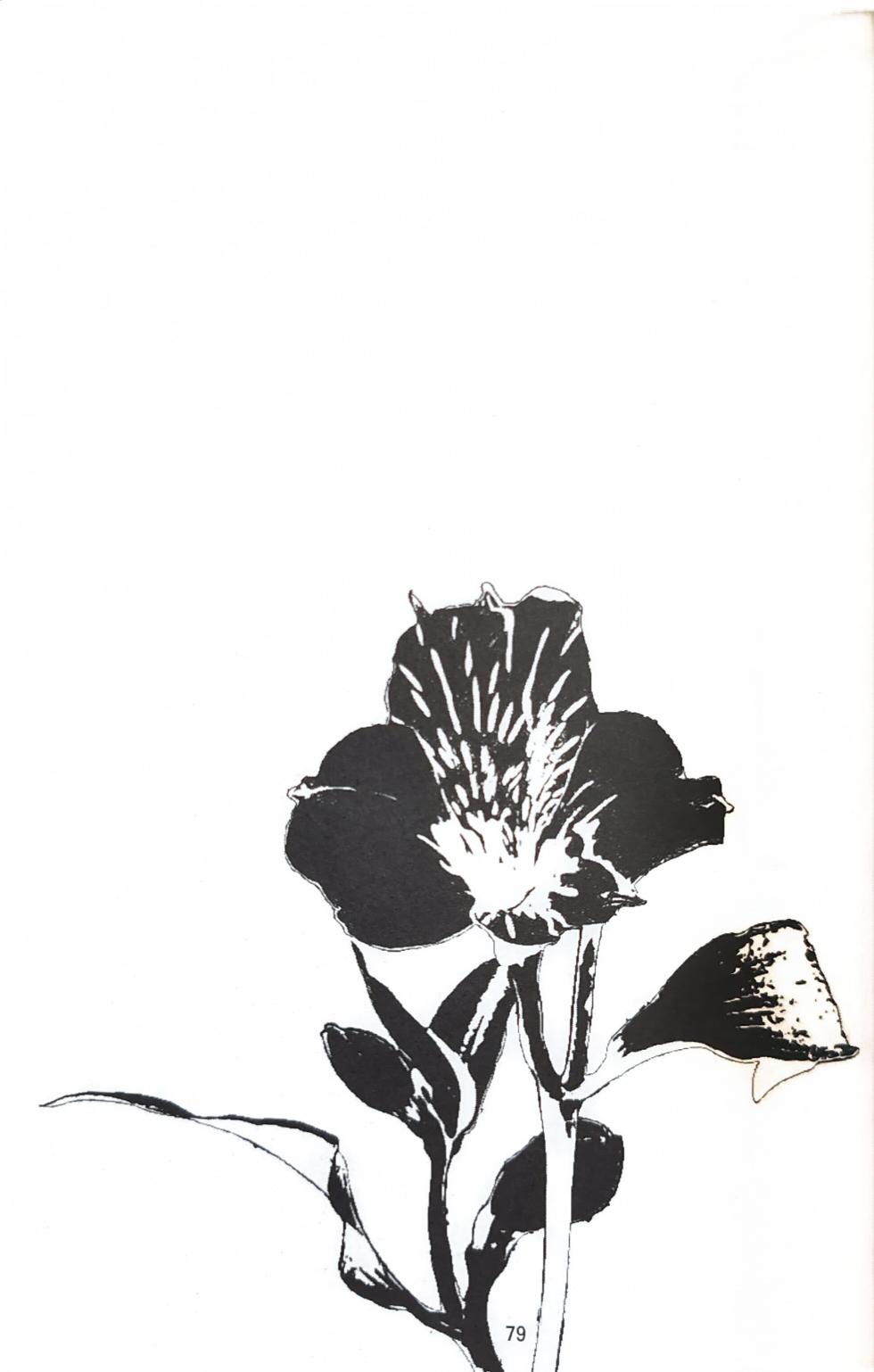 [Amethyst(Yagami Ayame)]First Contact [Tony x Gilver](Devil May Cry) [Chinese] - Page 34