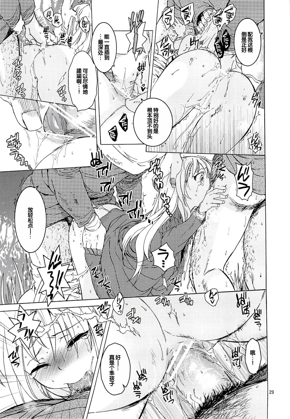 (SC61) [Toko-ya (HEIZO & Kitoen)] Saint Foire Festival 10 Matty [Chinese] - Page 28