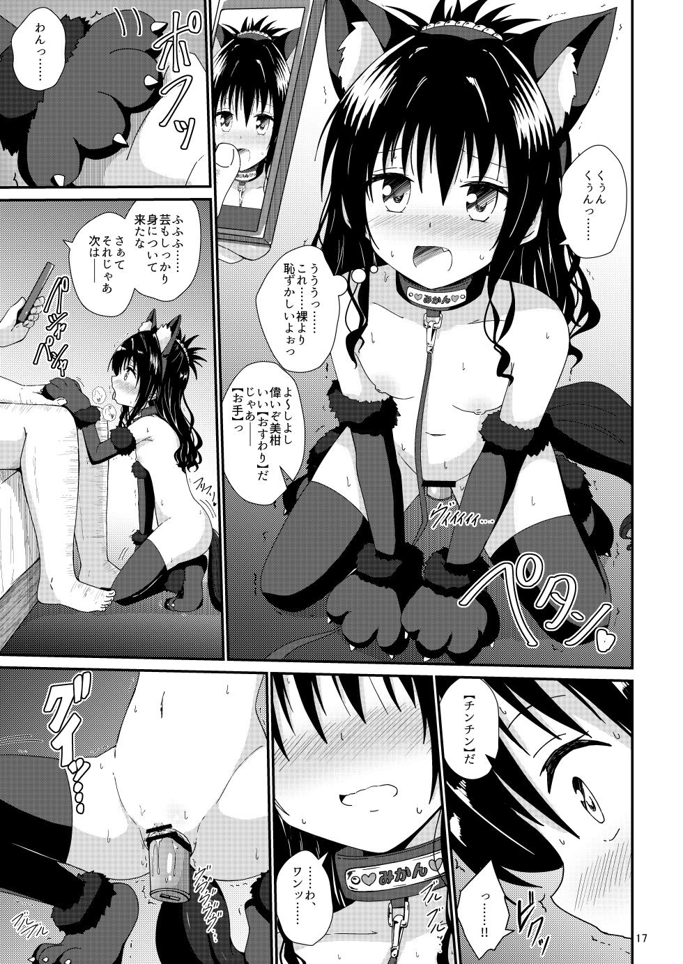 [Aiirosakura (Aikawa Ryou)] Mikan no Ecchi na Hon 4 (To LOVE-Ru) - Page 17