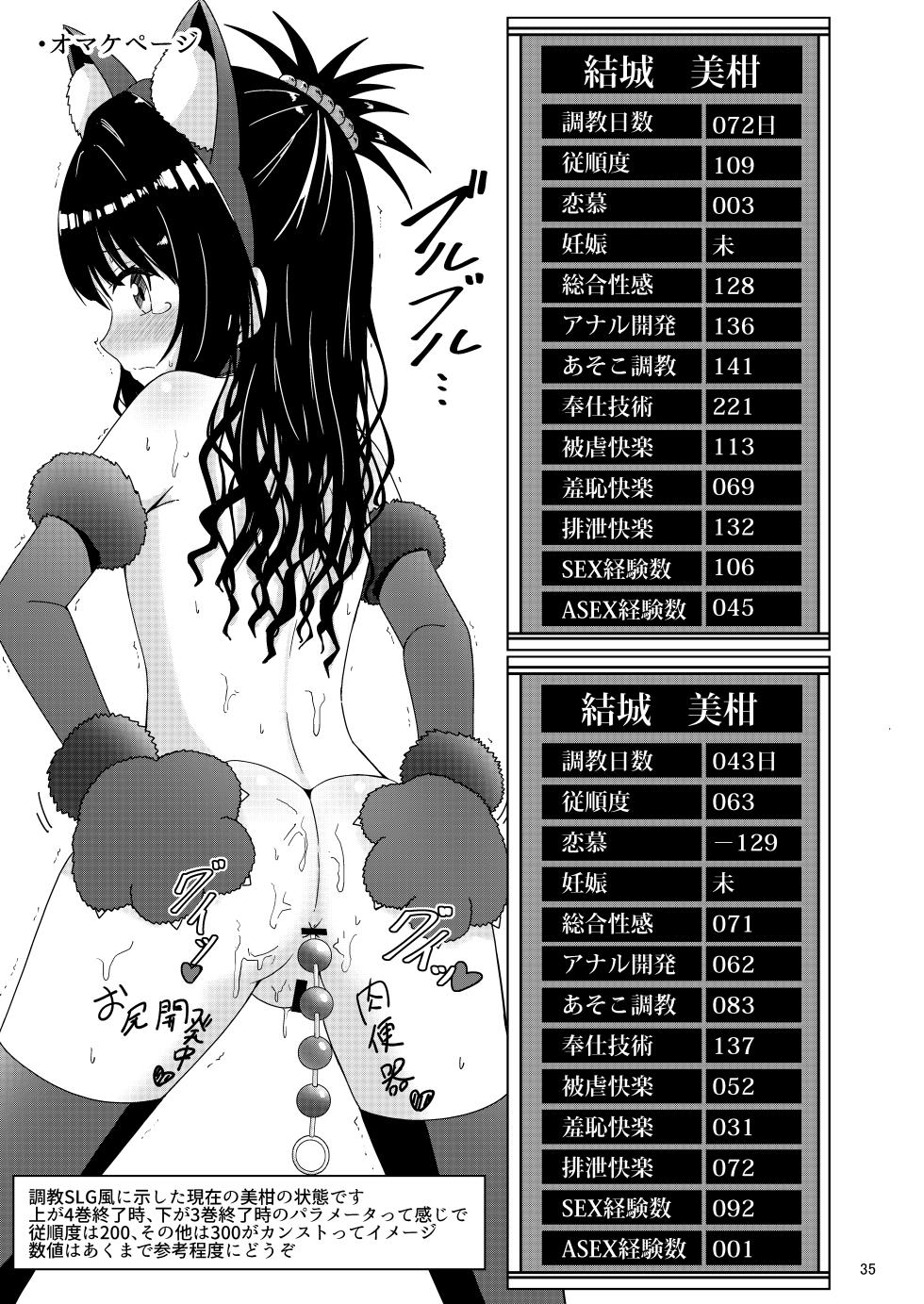 [Aiirosakura (Aikawa Ryou)] Mikan no Ecchi na Hon 4 (To LOVE-Ru) - Page 35