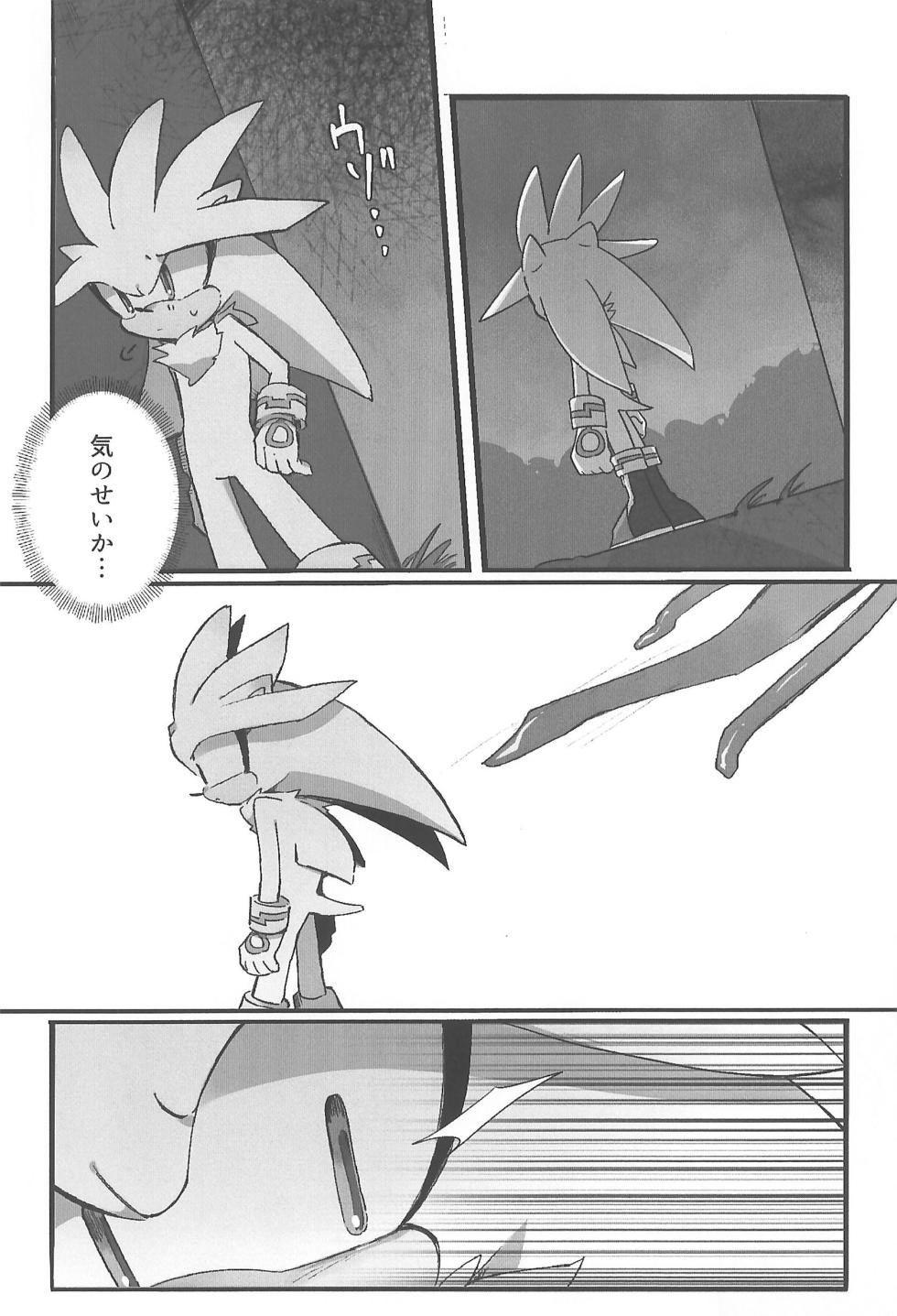 (HARU COMIC CITY 34) [Nikokan (Niko)] Silver ga Hidoi Me ni Au dake no Hon. (Sonic the Hedgehog) - Page 12