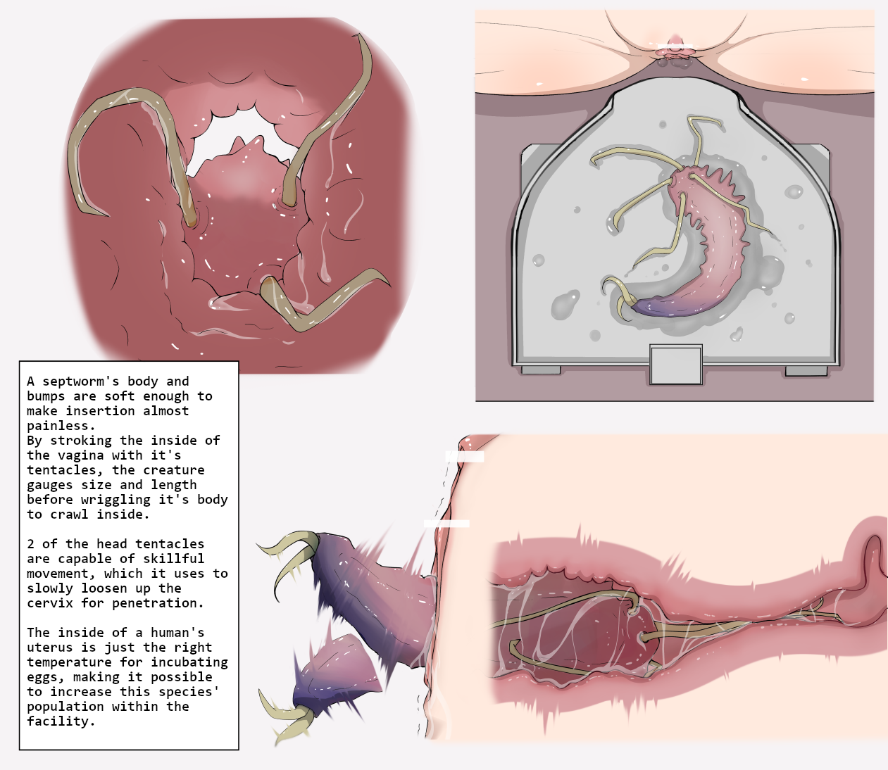 Insect Research Report No.01 - Page 3