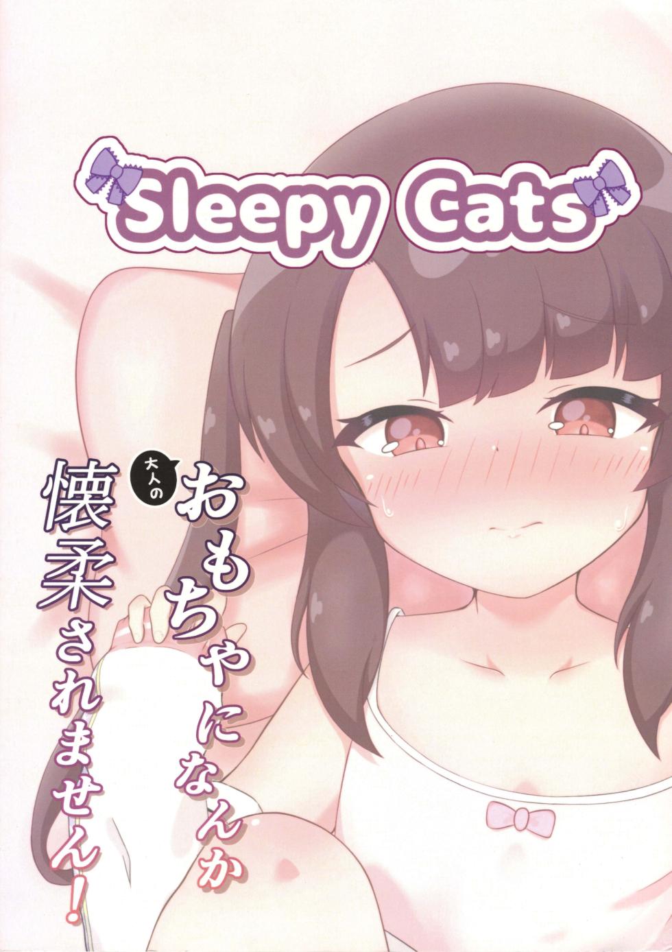 (C106) [Sleepy Cats (Hirune)] Otona no Omocha ni Nanka Kaijuu Saremasen! (O.N.G.E.K.I.) [Chinese] - Page 22