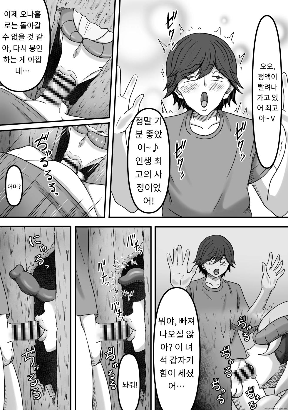 [かめのみそ汁] 欲望に負けて搾精妖魔の封印を解除したら大変なことになった話し [Korean] - Page 12