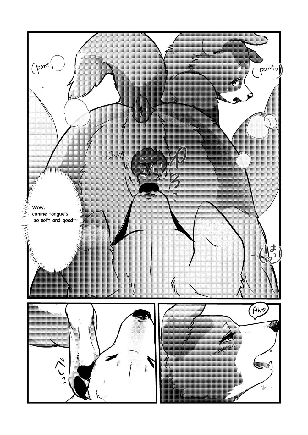 [Kon Juuichibai (Momou)] I've Turned Into a Dog, So I Play With Dogs, Right? [English] [Digital] - Page 12