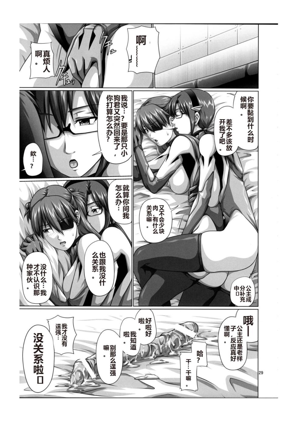 (C85) [Daiznosusume (Saitou Kusuo,Toyama Teiji)] Seiteki Yokkyuu Hokan Keikaku MariAsu (Neon Genesis Evangelion) [Chinese] - Page 28