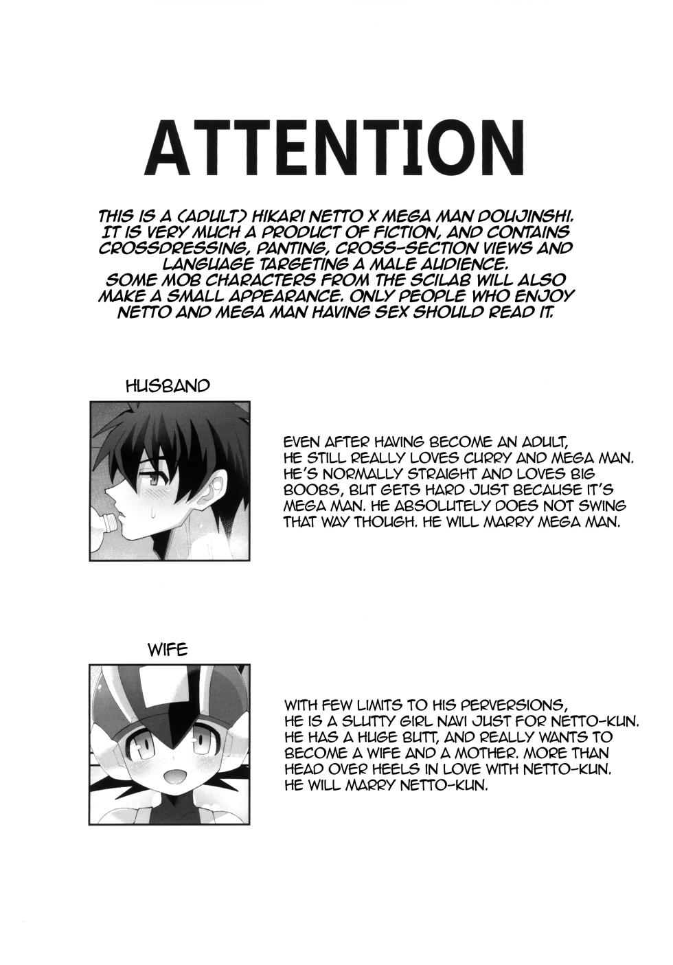 (TAG! 2) [Hokuto no Kinoko (Kokeda)] Hikari no Marriage | Hikari's Marriage (Rockman.EXE) [English] [alparslan] - Page 2