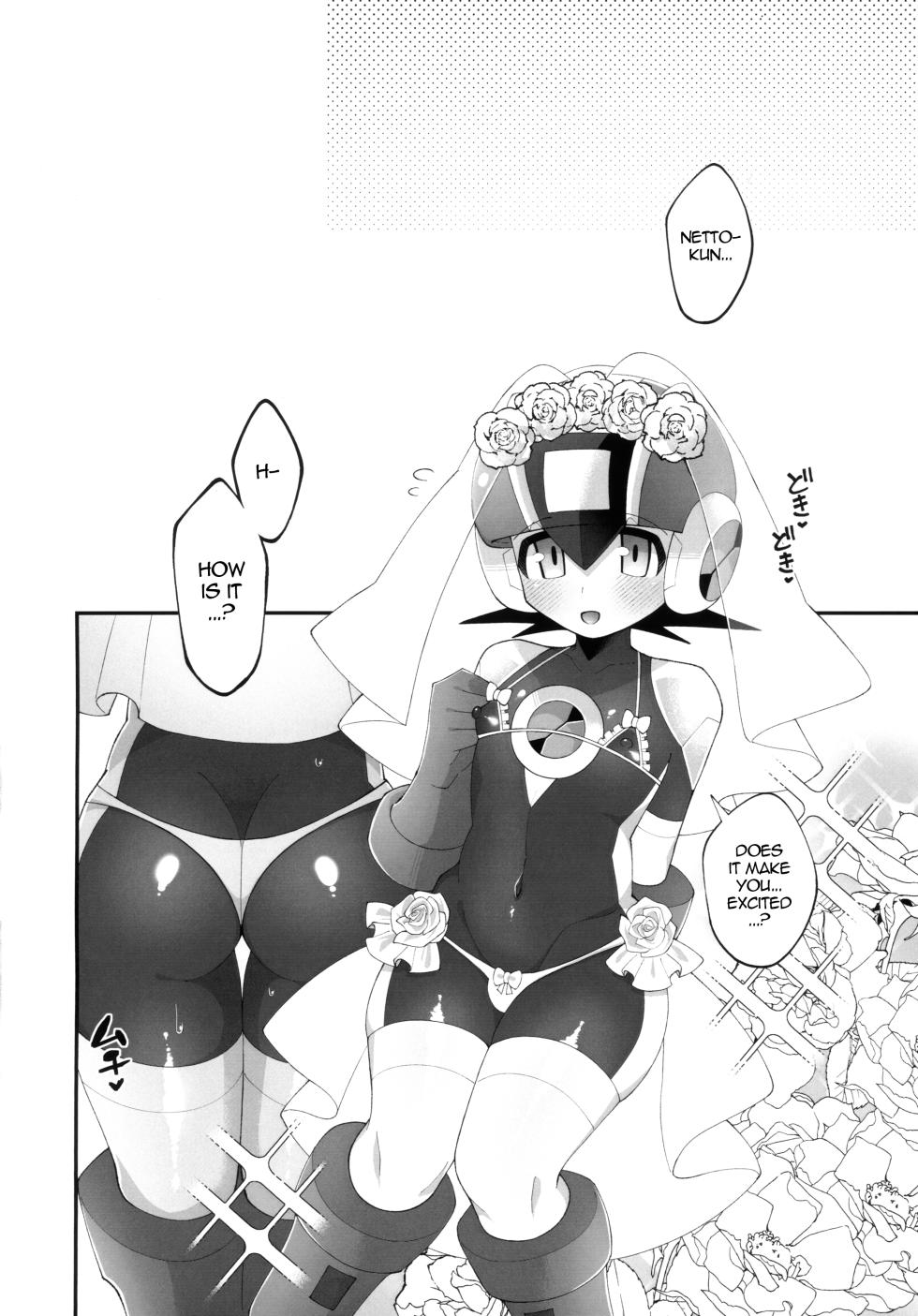 (TAG! 2) [Hokuto no Kinoko (Kokeda)] Hikari no Marriage | Hikari's Marriage (Rockman.EXE) [English] [alparslan] - Page 17