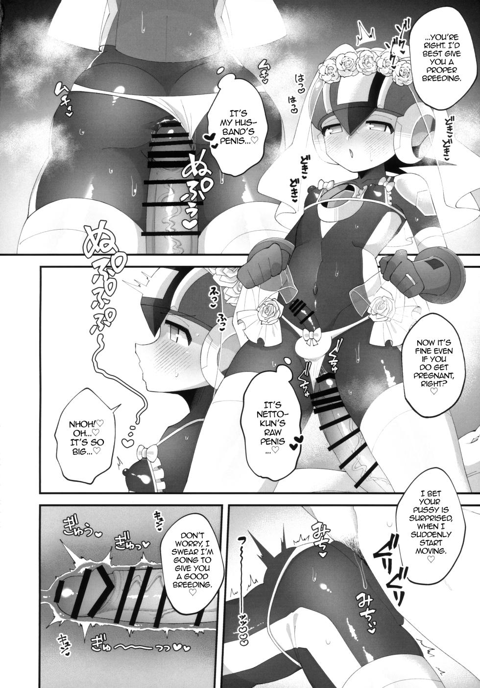 (TAG! 2) [Hokuto no Kinoko (Kokeda)] Hikari no Marriage | Hikari's Marriage (Rockman.EXE) [English] [alparslan] - Page 21