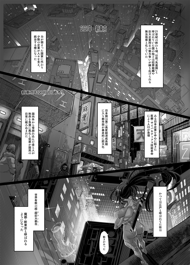 (C106) [DA HOOTCH (ShindoL)] Cyber Ninden Makina 1 - Cyberninja Machina Makina - Page 3