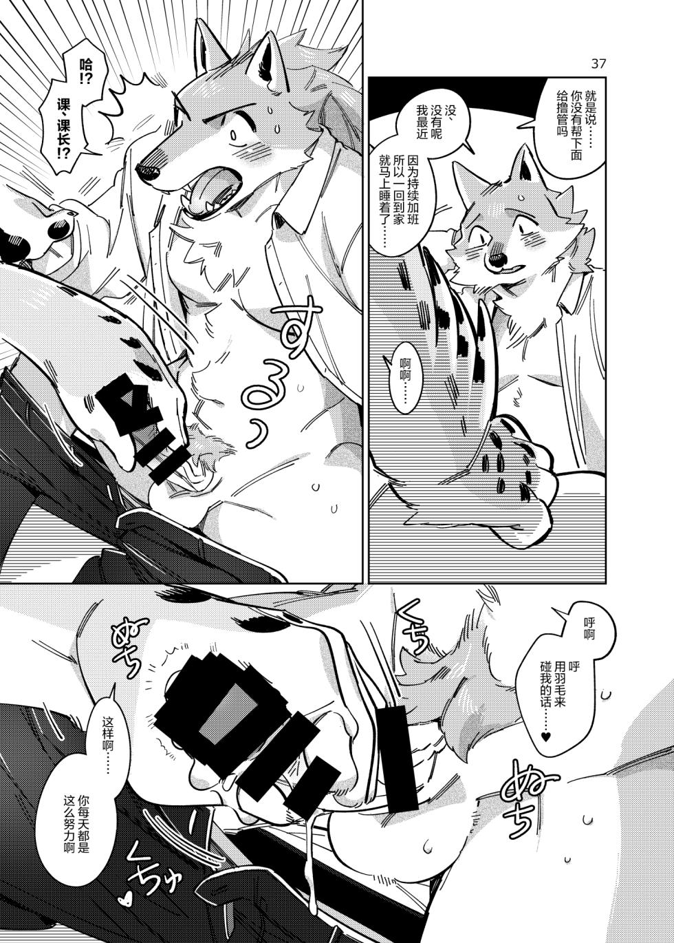 (Shinshun Kemoket 8) [Otohime 49-gou (Ichiboshi)] 试着拜托了鸟兽人小哥。 [Chinese] [一般通过杂食动物汉化] [Digital] - Page 36