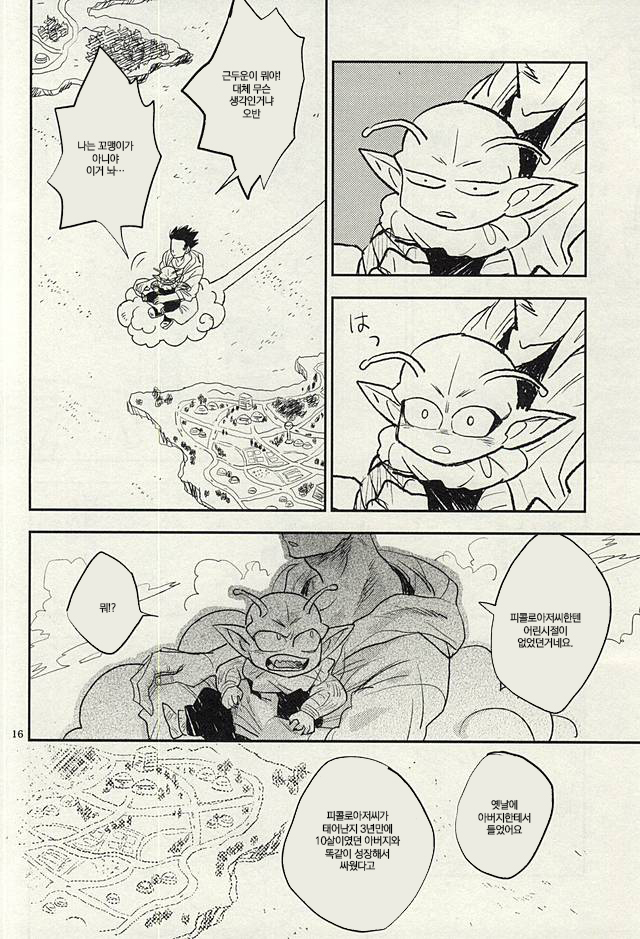 [Mogura Gyunyu] Onaji Hoshi de Umareta | 같은 별에서 태어나 (Dragon Ball Z) [Korean] - Page 15