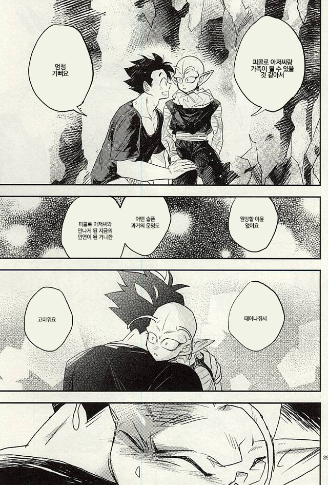 [Mogura Gyunyu] Onaji Hoshi de Umareta | 같은 별에서 태어나 (Dragon Ball Z) [Korean] - Page 28