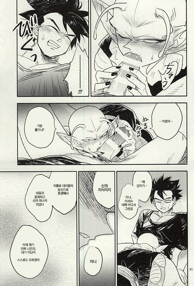 [Mogura Gyunyu] Onaji Hoshi de Umareta | 같은 별에서 태어나 (Dragon Ball Z) [Korean] - Page 30